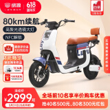 绿源（Luyuan）电动车48V24A新国标电动自行车锂电通勤代步车 液冷电机   K5 爵士蓝