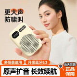 雅兰仕（EARISE）606新款大音量小蜜蜂防啸叫老师上课专用插TF卡U盘录音麦克风超长续航蓝牙扩音器 肤色