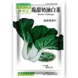 种菜记春季蔬菜种子大全快菜生菜鸡毛菜种籽四季南方小青菜阳台蔬菜孑 奶白菜种子10克