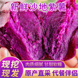 时鲜汇紫薯【粉糯香甜】地瓜蔬菜批发紫罗兰 紫薯3斤装带箱