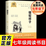 骆驼祥子 七年级下册必读名著无障碍导读版官方正版人教版教材配套阅读老舍著初一必读