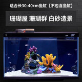 画法几何适用小米鱼缸造景全套生态套装摆件长江石南美风配件水族箱专用 高级珊瑚白砂造景【不含鱼缸】