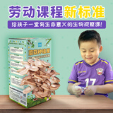 IAM City Farmer秀珍菇蘑菇种植可食用菌包菌种新鲜蘑菇套装配喷壶生长快10140