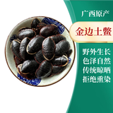 康裕尊  金边土鳖金边土元中华土鳖虫地土虫 【250克/金边土鳖】