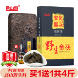 君山岛 黑茶安化黑茶茯茶金花茯砖年货节茶叶礼盒天尖金茯 9年陈野生金茯1kg*1盒