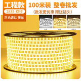 得焺led灯带220v高压户外防水灯酒店别墅工程超亮条装饰线形灯户外照明灯100米装-暖光【10W-120珠/米】