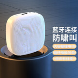 雅兰仕（EARISE）喇叭小蜜蜂扩音器教师专用录音大功率手持喊话户外无线扬声器宣传讲师便携式可充电摆摊叫卖大声 白色【大音量/防啸叫/长续航】