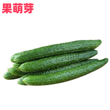 京地达山东刺黄瓜 净重3斤 现摘现发大黄瓜蔬菜源头直发包邮