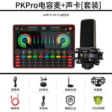 十盏灯 G4声卡套装手机电脑直播带货麦克风网红快手主播K歌喊麦通用抖音录音设备外置调音台全套 明星邱永传代言声卡【PKPRO电容麦-G4套装】