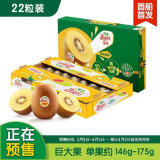 佳沛（zespri）预售 新西兰阳光金奇异果22粒原箱 单果重约146-175g 水果 猕猴桃