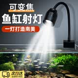 LISM鱼缸射灯小鱼缸灯溪流缸变焦南美射灯造景led夹灯迷你防水 【自由变焦】3w/适合60cm内鱼缸-USB接口