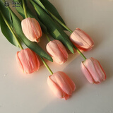 黛莉森手感郁金香仿真花假花高档手捧花束摆设客厅茶几餐桌花装饰品摆件 香槟粉6枝