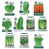 北蔬 萝卜白菜种子香菜菠菜胡萝卜生菜春季种 10种秋冬季蔬菜种子套餐