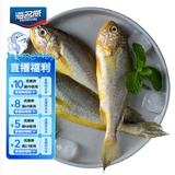 海名威冷冻东海小黄鱼1斤 16-20条 生鲜鱼类 海鲜水产 烧烤 