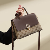 红蜻蜓包包女包2025新款斜挎单肩包大容量轻奢手提包送生日礼物