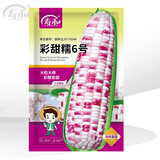 寿禾 超甜水果玉米种子大全紫糯黑甜糯可生食粘甜种孑春夏季寿光蔬菜 国审彩甜糯玉米种子200g