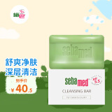 施巴（sebamed）洁肤皂100g沐浴皂洗手洗脸滋润洗澡肥皂香皂无皂碱德国原装进口 施巴洁肤皂 100g 1块