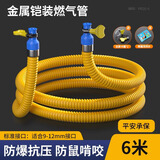 家韵（jiayun）燃气管家用铠装天然气管子加厚连接煤热水器专用防爆液化气管  防爆燃气管6米+卡箍*2