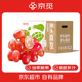 京觅四川无籽克伦生红提 葡萄马奶新鲜水果水果无籽红提 2斤 源头直发