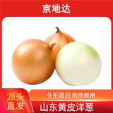 京地达山东新鲜黄皮洋葱 净重5斤 单果200g+ 新鲜蔬菜源头直发包邮