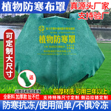 植物防寒罩保暖保温布袋果树木越冬防冻罩花卉过冬防风透气无纺布 宽1.5 米高2.0米防寒罩