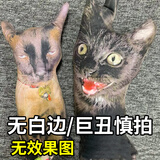 南国伊绣定制抱枕玩偶照片真人形无白边丑娃娃diy恶搞怪男女生日礼物异形 无白边—巨丑【宠物定制】 含枕芯 定制40cm下单后给客服发图