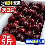 采缇进口美国车厘子樱桃车厘子5斤大樱桃次日达新鲜水果当季礼盒整箱 2.8斤(净重)  礼盒装 J 26mm(含)-28mm(不含)