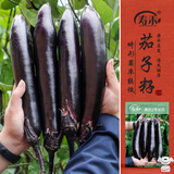 寿禾 长茄种子大果柔嫩家庭菜园蔬菜种籽 黑豹2号长茄种子500粒