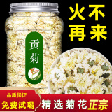 贡菊特级菊花茶胎菊杭白菊黄山中药材干菊花茶另售胎菊金丝皇菊婺源黄菊 贡菊100g