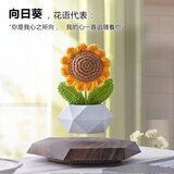 HCNT女朋友生日520礼物办公室摆件磁悬浮盆栽家居饰品桌面创意花盆 深色盆栽（赠送纺织花向日葵）