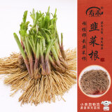 寿禾 韭菜根苗老品种蔬菜苗 稀植四季韭菜根190棵带肥源头直发包邮