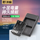沣标（FB）DMW-BLF19E松下相机电池充电器DMC-GH5S GH4 GH3 G9LGK配件 一电双充套装（USB双槽充）