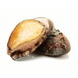 鲜京采 鲜活鲍鱼1只（单只30g起）海鲜贝壳活鲜 