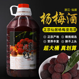 御香梅仙居杨梅酒农家自酿粮食烧酒果酒桶装梅子酒新鲜杨梅浸泡 杨梅酒5斤装40度（后劲足）