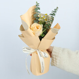 领香鲜花速递单支玫瑰花束康乃馨公司活动商务用花全国同城配送 单支香槟玫瑰（20支起送，单拍不发货）