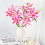 花点时间（Reflower）玫瑰花康乃馨百合鲜花云南昆明基源头直发睡莲剑兰向日葵鲜切花 【双头百合】粉色5枝（10朵）