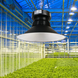 赛瑞特农业led植物生长灯仿太阳全光谱植物补光灯大棚大面积补光植物灯 50WGK【四代自然光全光谱】