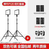 神牛（Godox） p120c摄影灯led补光灯便携单反相机拍照神器补光灯摄像打光灯影视拍照婚庆常亮灯光 P120C双灯+适配器【送2000毫安电池*2】