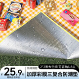 牧火防潮垫 沙滩垫子 防水防潮帐篷垫子加厚野营垫铝膜爬行地垫 大号