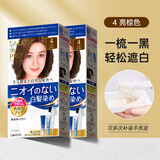 塔丽雅（Dariya）日本SALON de PRO染发剂膏黛莉亚Dariya男女士盖白发染发膏遮白发 4号亮棕色*2