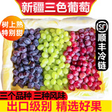 【顺丰】新疆玻璃翠葡萄 火焰无核三色白葡萄脆甜马奶提子水果 三色葡萄4斤 特级果【精品礼盒】