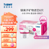 倍世（BWT） 第4代镁离子活力款滤芯 德国技术欧洲原装进口 过滤净水器家用滤水壶净水杯净水壶用 6只装