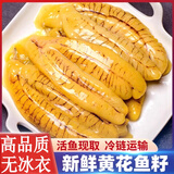 鱼姐海成 青岛黄花鱼籽新鲜冷冻大黄鱼籽鱼蛋鱼卵鲜活海鲜大鱼籽袋装 2斤装
