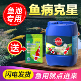 大禹德邦锦鲤鱼池综合水质调理剂鱼池除藻除青苔剂硝化菌净化稳定水质剂 锦鲤综合水质调理剂 桶装5L