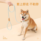 疯狂的主人P链狗绳宠物狗狗牵引绳小中大型犬防爆冲项圈p绳宠物用品