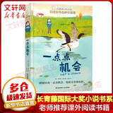 一点点机会 长常青藤国际大奖小说书系 美国父母选择奖银奖