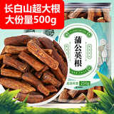 养益君 蒲公英根500g（250g*2罐）特级大根长白山野生蒲公英根茶干