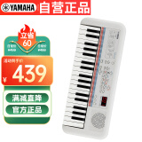 雅马哈（YAMAHA）PSS-E30 电子琴多功能初学者便携式音感教学小白琴生日儿童节礼物