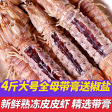 鮨京【渔港直发】皮皮虾鲜活熟冻全母带膏富贵虾冷冻虾爬子 海鲜水产 大号全母带膏皮皮虾 4斤(净重)