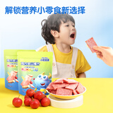 小鹿蓝蓝山楂棒棒糖宝宝零食儿童健康鲜果膳食纤维1岁以上 鸡内金山楂片2袋